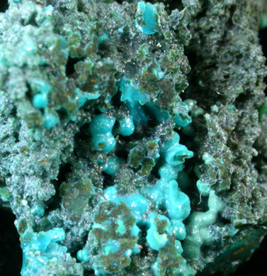 Chrysocolla pseudomorphs after Hemimorphite from 79 Mine, Banner District, near Hayden, Gila County, Arizona