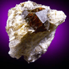 Almandine Garnet in Albite with Muscovite from Hedgehog Hill, Peru, Maine