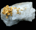 Gold in Quartz from Eagles Nest Mine, Placer County, California