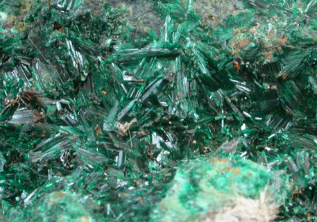 Atacamite from Mina la Farola, Copiapo, Atacama Desert, Chile (Type Locality for Atacamite)