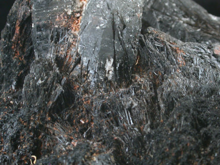 Schorl Tourmaline var. Velvet Tourmaline from Milopilas, Sonora, Mexico