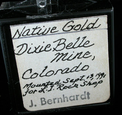 Gold in Quartz from Dixie Belle Mine, Colorado