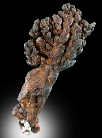 Copper (crystallized) from Bisbee, Warren District, Cochise County, Arizona