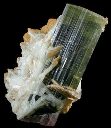 Elbaite Tourmaline in Albite from Paprok, Kamdesh District, Nuristan Province, Afghanistan