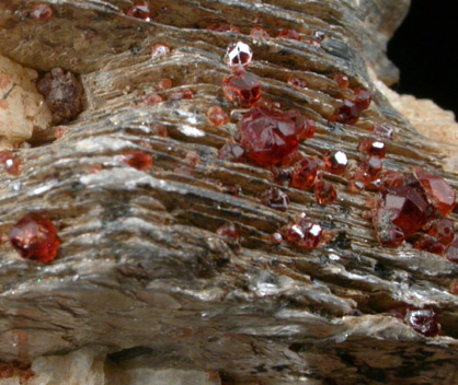 Spessartine Garnet on Microcline and Muscovite from Shigar Valley, Skardu District, Baltistan, Gilgit-Baltistan, Pakistan