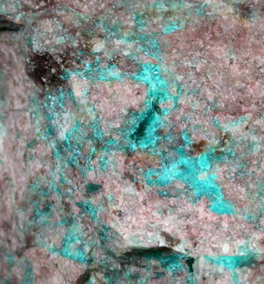 Ajoite and Shattuckite from New Cornelia Mine, Ajo, Pima County, Arizona (Type Locality for Ajoite)