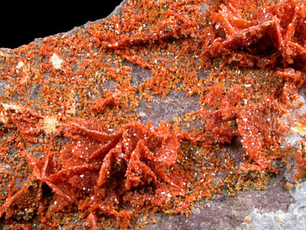 Vanadinite pseudomorphs after Wulfenite from Rowley Mine, 20 km northwest of Theba, Painted Rock Mountains, Maricopa County, Arizona