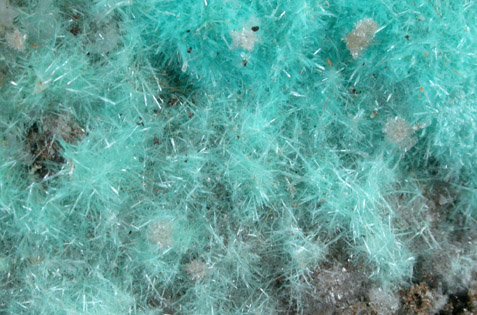 Aurichalcite from 79 Mine, Banner District, near Hayden, Gila County, Arizona