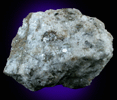 Graphite, Tremolite, Phlogopite from Lime Crest Quarry (Limecrest), Sussex Mills, 4.5 km northwest of Sparta, Sussex County, New Jersey