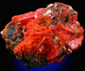 Crocoite from Dundas, Tasmania, Australia