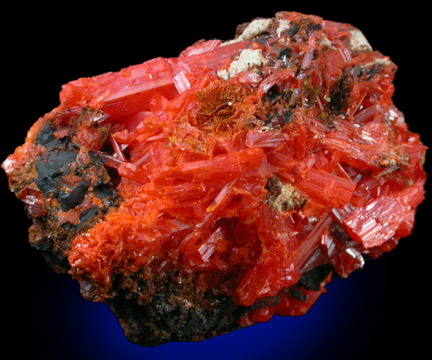 Crocoite from Dundas, Tasmania, Australia