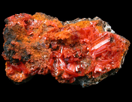 Crocoite from Dundas, Tasmania, Australia