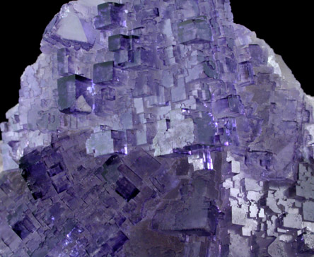 Fluorite from Melchor Muzquiz, Coahuila, Mexico