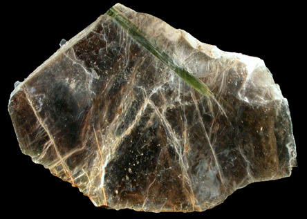 Elbaite Tourmaline in Muscovite from Mount Mica Quarry, Paris, Oxford County, Maine