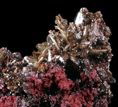 Vanadinite var. Endlichite from Ahumada Mine, Sierra Los Lamentos, Chihuahua, Mexico