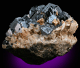 Sphalerite, Calcite, Pyrite, Galena from Naica District, Saucillo, Chihuahua, Mexico