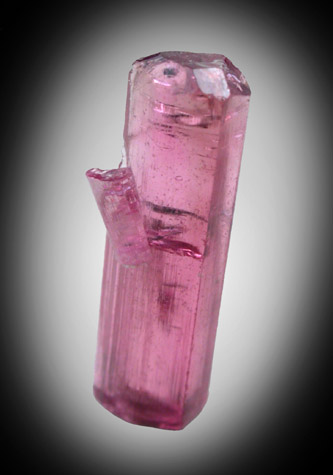 Elbaite var. Rubellite Tourmaline from Minas Gerais, Brazil