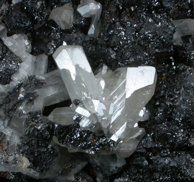 Cerussite on Galena from Touissit Mine, 21 km SSE of Oujda, Jerada Province, Oriental, Morocco