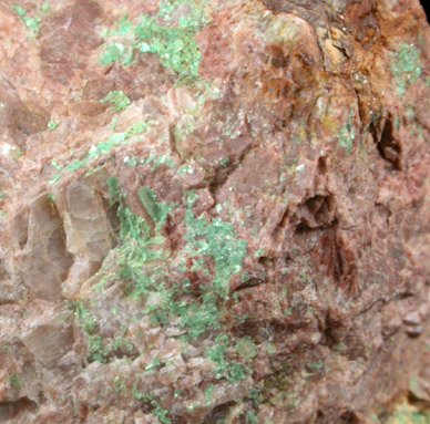 Torbernite from Case #1 Quarry, Portland, Middlesex County, Connecticut