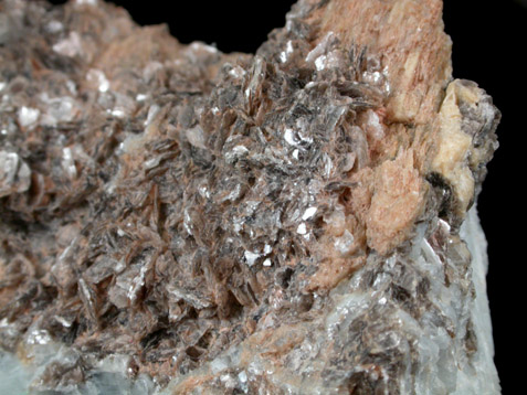 Montmorillonite, Muscovite, Albite var. Cleavelandite from Strickland Quarry, Collins Hill, Portland, Middlesex County, Connecticut
