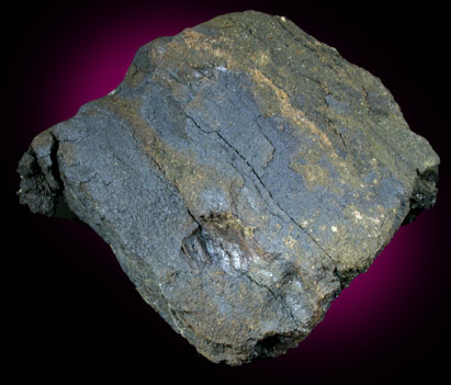 Corvusite, Coffinite, Pyrite from Long Park #1 Mine, Uravan District, Montrose County, Colorado