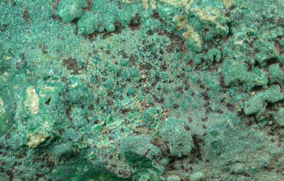 Pseudomalachite from Schuyler Copper Mine, North Arlington, Bergen County, New Jersey