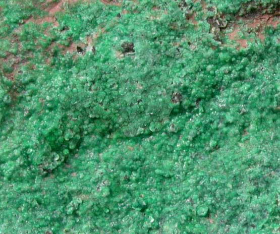 Pseudomalachite from Schuyler Copper Mine, North Arlington, Bergen County, New Jersey