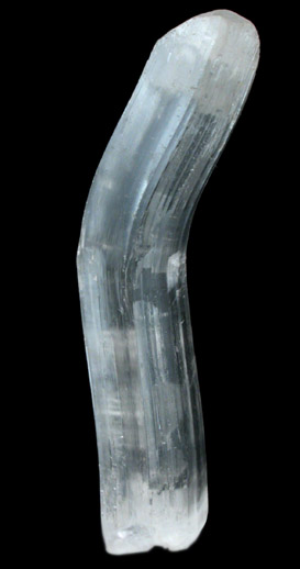 Gypsum var. Selenite from Naica District, Saucillo, Chihuahua, Mexico