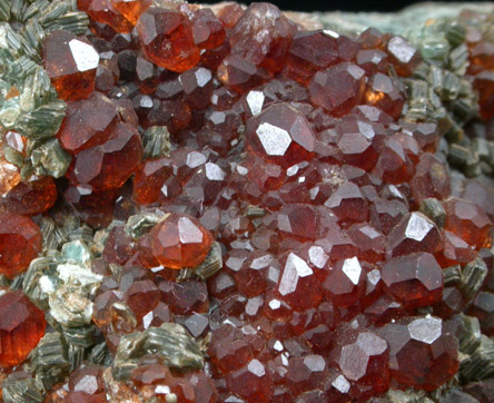 Grossular Garnet with Clinochlore from Val d'Ala, Piemonte, Italy