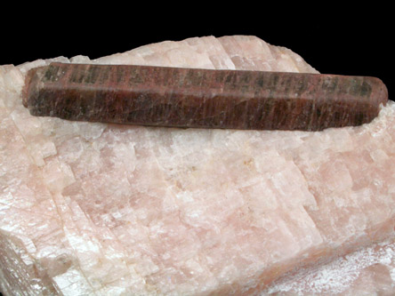 Fluorapatite in Calcite from Renfrew County, Ontario, Canada