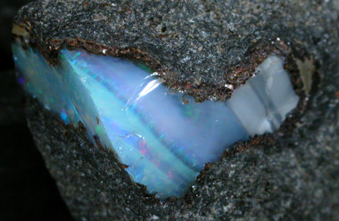 Opal from Idaho