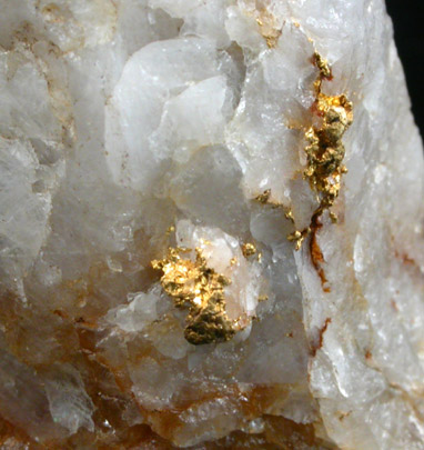 Gold in Quartz from Mariposa County, California