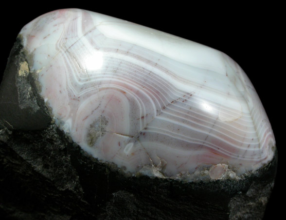 Quartz var. Agate from Paterson, Passaic County, New Jersey