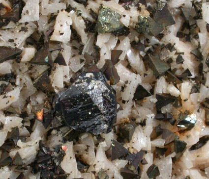 Sphalerite and Chalcopyrite on Dolomite from Tri-State Lead-Zinc Mining District, near Joplin, Jasper County, Missouri