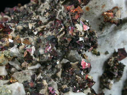 Chalcopyrite on Dolomite from Crestline (Joplin District), Cherokee County, Kansas