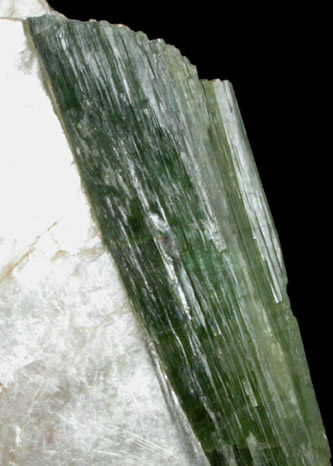 Elbaite Tourmaline in Muscovite from Mount Mica Quarry, Paris, Oxford County, Maine