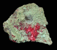 Cuprite var. Chalcotrichite from Ray Mine, Mineral Creek District, Pinal County, Arizona