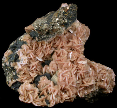 Siderite on Pyrite from Gilman District, Eagle County, Colorado