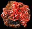 Crocoite from Red Lead Mine, Dundas, Tasmania, Australia