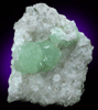 Prehnite on Quartz from Tafelkop, Goboboseb Mountains, 27 km west of Brandberg Mountain, Erongo region, Namibia