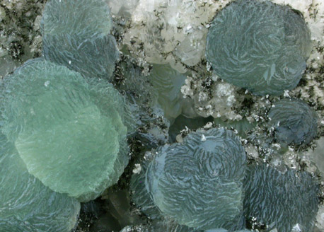 Babingtonite on Prehnite from New Street Quarry, Paterson, Passaic County, New Jersey