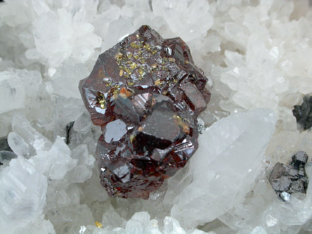 Sphalerite on Quartz var. Scepters from Cavnic Mine (Kapnikbanya), Maramures, Romania