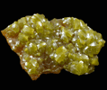 Pyromorphite from Bunker Hill Mine, Coeur d'Alene District, Shoshone County, Idaho