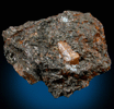Fluorapatite in Pyrrhotite from Philips Pyrrhotite Mine, Anthony's Nose, Putnam County, New York