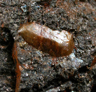 Fluorapatite in Pyrrhotite from Philips Pyrrhotite Mine, Anthony's Nose, Putnam County, New York