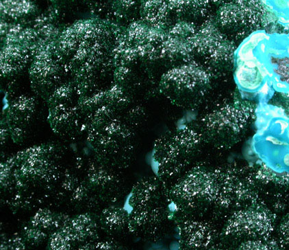 Malachite on Chrysocolla from Lubumbashi, Katanga Copperbelt, Haut-Katanga Province, Democratic Republic of the Congo