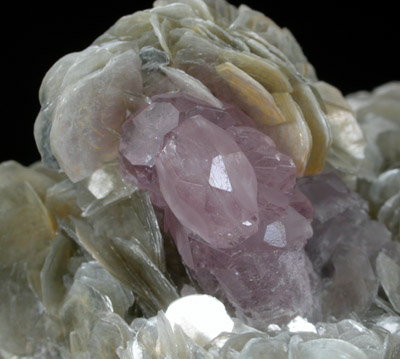 Fluorapatite on Muscovite from Xuebaoding Mountain near Pingwu, Sichuan Province, China