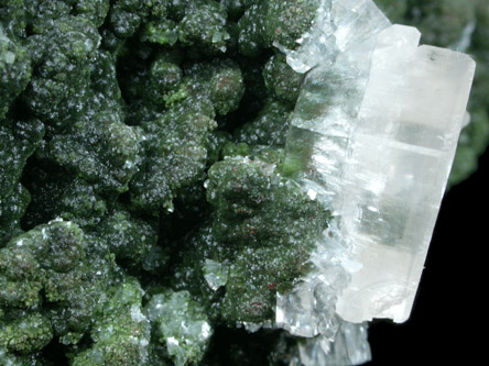 Calcite on Mottramite from Tsumeb Mine, Otavi-Bergland District, Oshikoto, Namibia