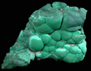 Malachite from Lubumbashi, Katanga Copperbelt, Haut-Katanga Province, Democratic Republic of the Congo