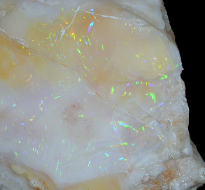 Opal from Virgin Valley, Humboldt County, Nevada